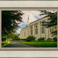 Boston Temple Trees Of Life Panoramic