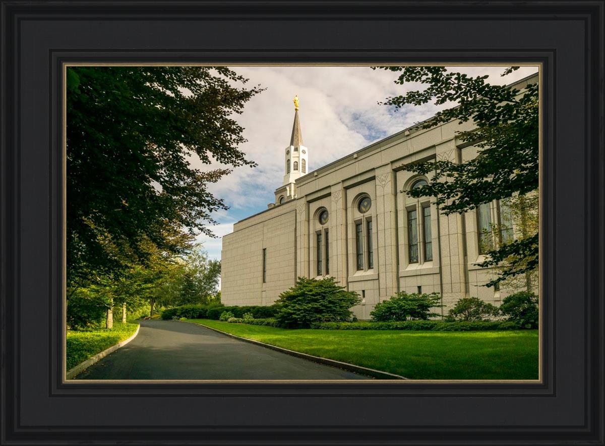 Boston Temple Trees Of Life Panoramic