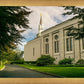 Boston Temple Trees Of Life Panoramic