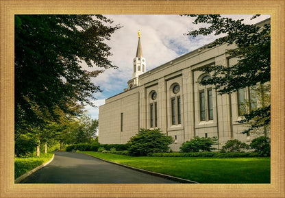 Boston Temple Trees Of Life Panoramic