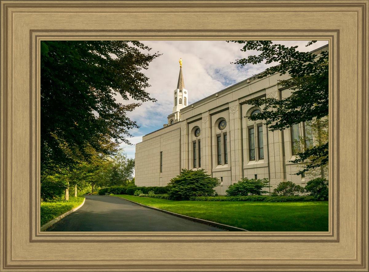 Boston Temple Trees Of Life Panoramic