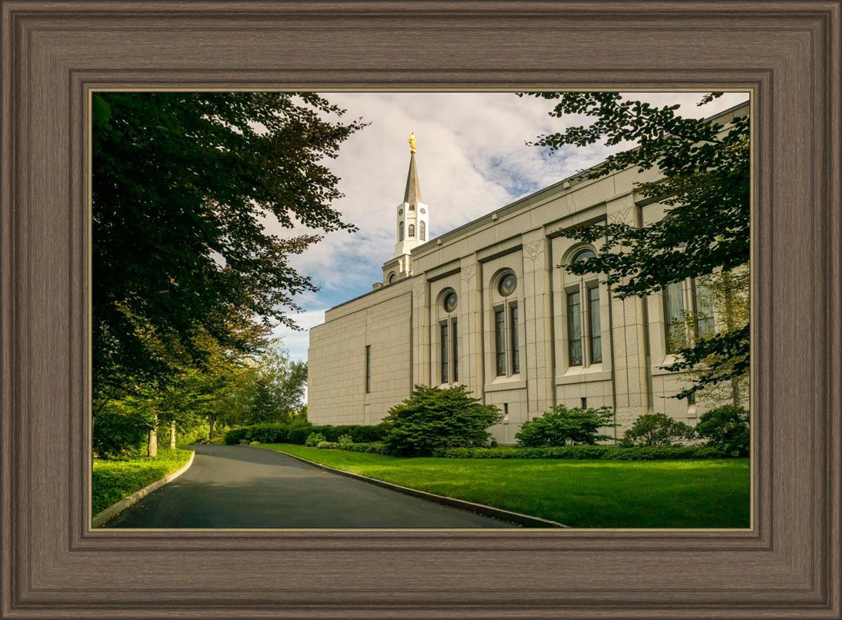 Boston Temple Trees Of Life Panoramic