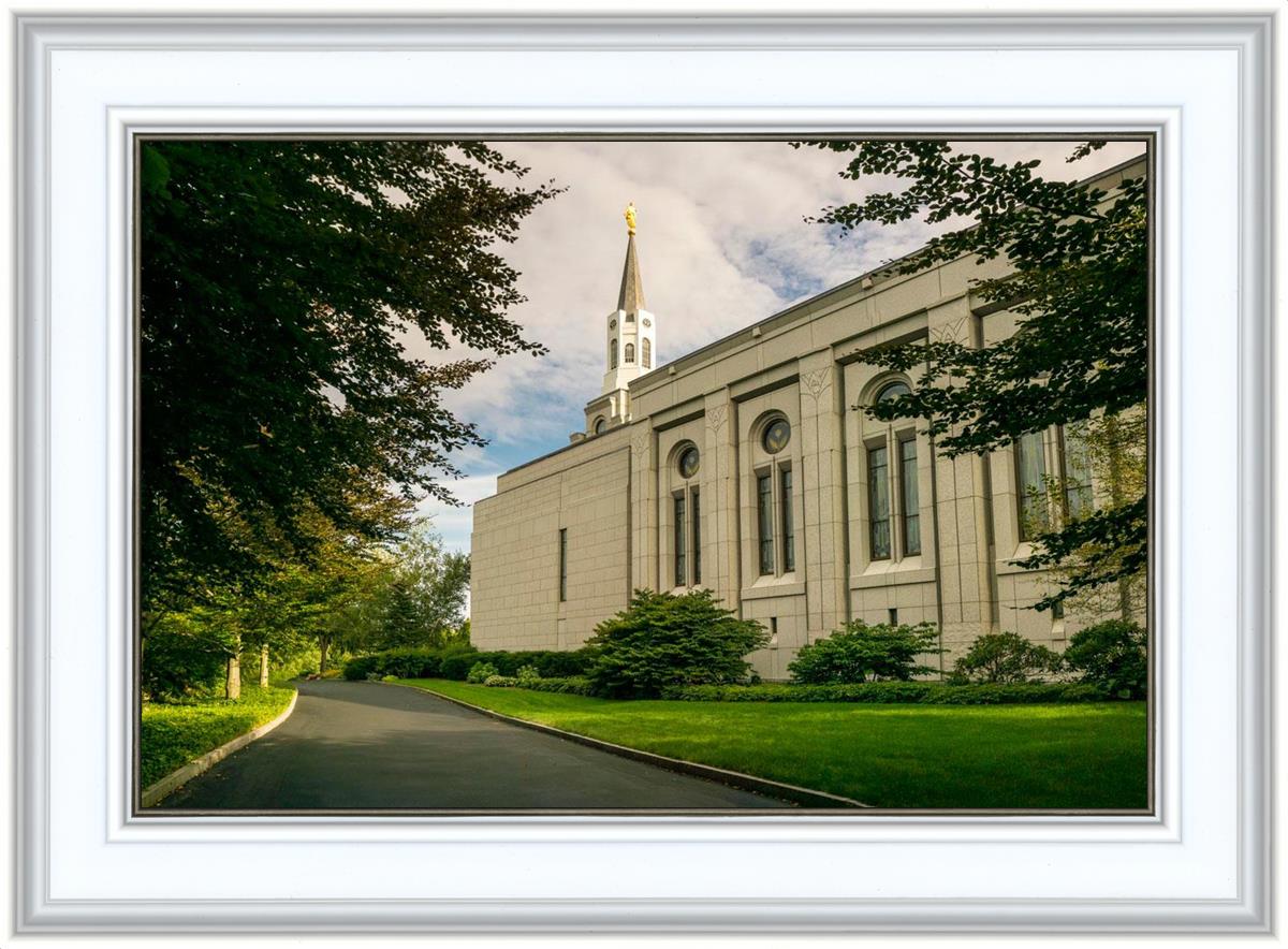 Boston Temple Trees Of Life Panoramic