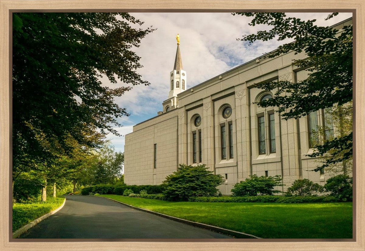 Boston Temple Trees Of Life Panoramic