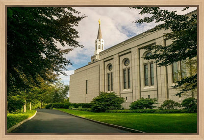 Boston Temple Trees Of Life Panoramic