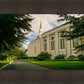 Boston Temple Trees Of Life Panoramic