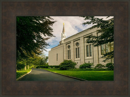 Boston Temple Trees Of Life Panoramic