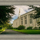 Boston Temple Trees Of Life Panoramic