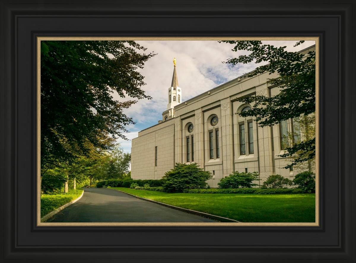 Boston Temple Trees Of Life Panoramic