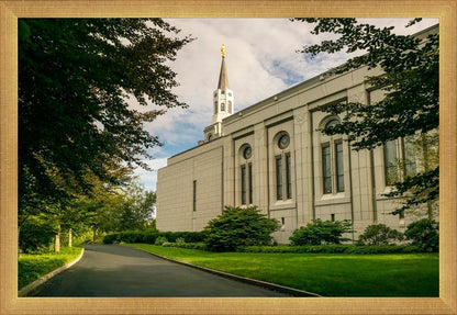Boston Temple Trees Of Life Panoramic
