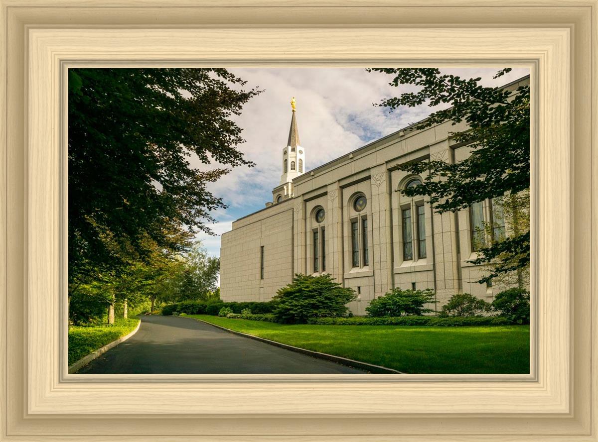 Boston Temple Trees Of Life Panoramic