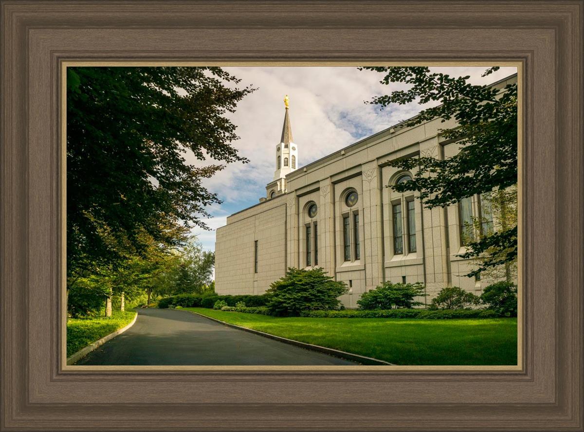 Boston Temple Trees Of Life Panoramic
