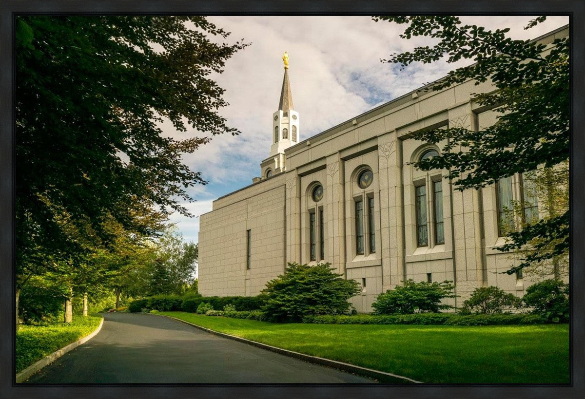 Boston Temple Trees Of Life Panoramic