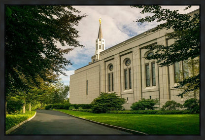 Boston Temple Trees Of Life Panoramic