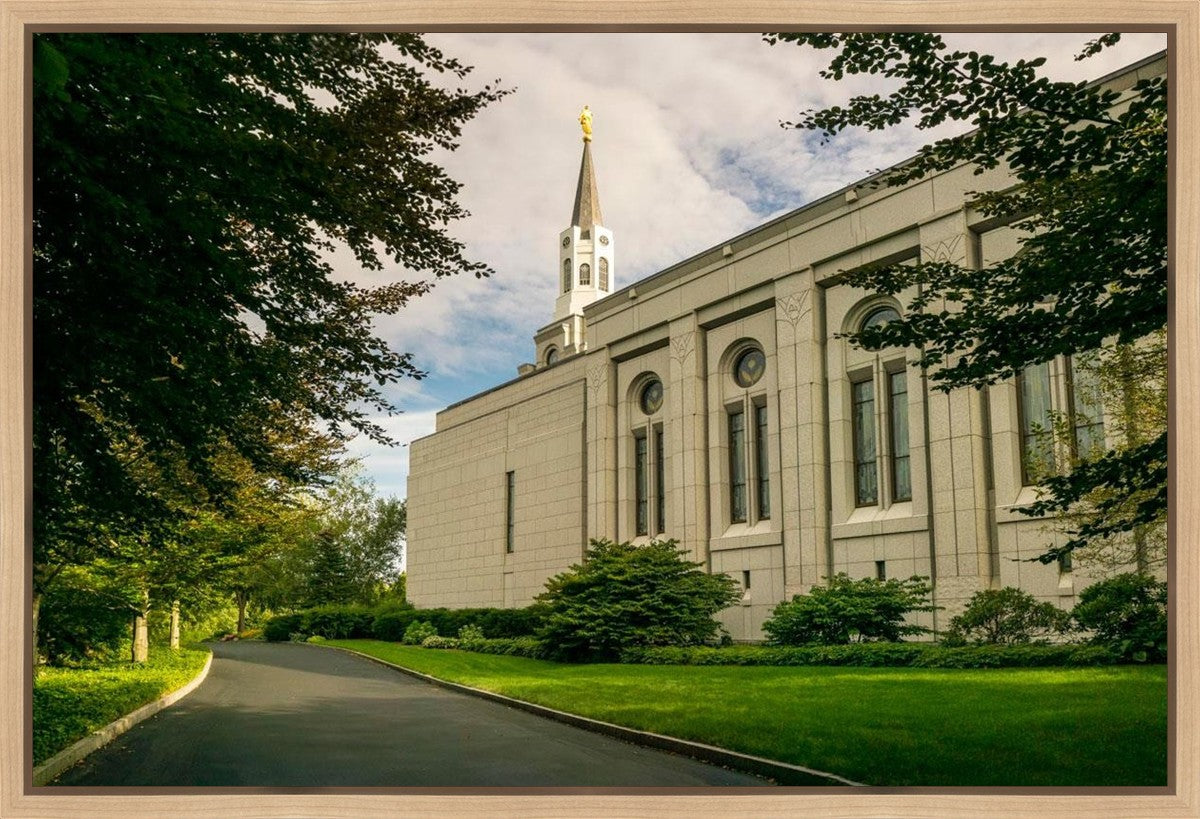 Boston Temple Trees Of Life Panoramic