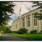 Boston Temple Trees Of Life Panoramic