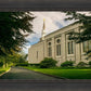 Boston Temple Trees Of Life Panoramic
