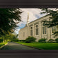 Boston Temple Trees Of Life Panoramic