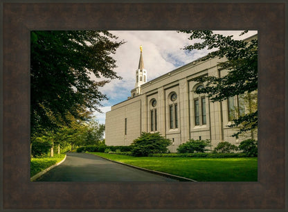 Boston Temple Trees Of Life Panoramic