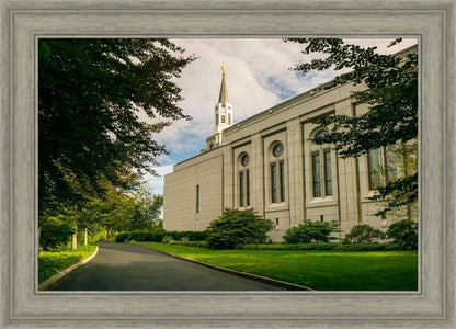 Boston Temple Trees Of Life Panoramic
