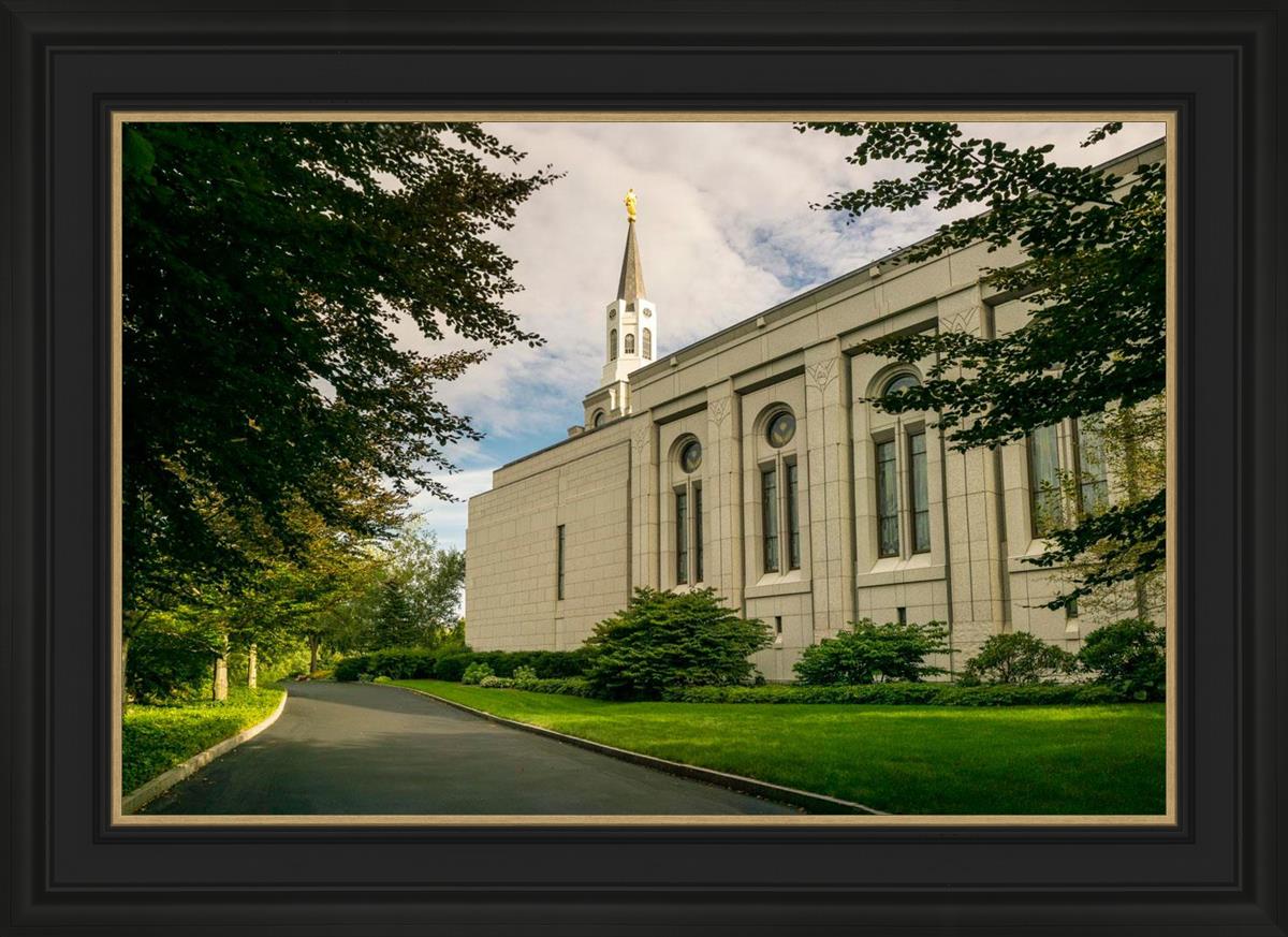 Boston Temple Trees Of Life Panoramic