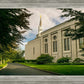 Boston Temple Trees Of Life Panoramic