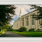 Boston Temple Trees Of Life Panoramic