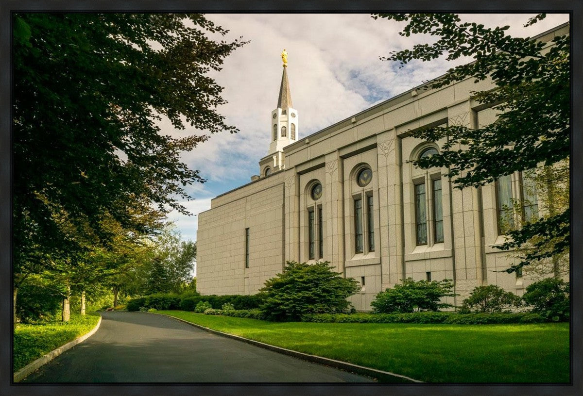 Boston Temple Trees Of Life Panoramic