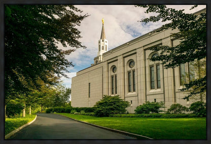 Boston Temple Trees Of Life Panoramic