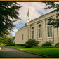 Boston Temple Trees Of Life Panoramic