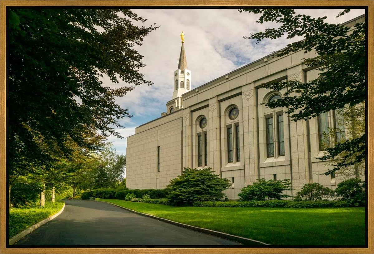 Boston Temple Trees Of Life Panoramic