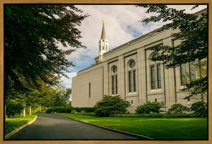 Boston Temple Trees Of Life Panoramic
