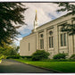 Boston Temple Trees Of Life Panoramic