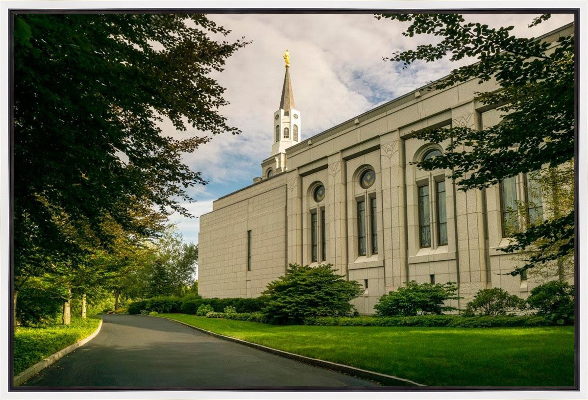 Boston Temple Trees Of Life Panoramic