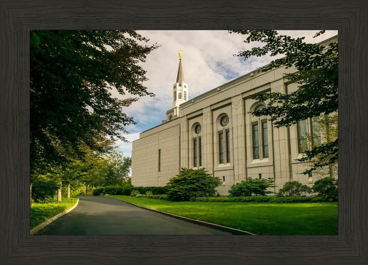 Boston Temple Trees Of Life Panoramic