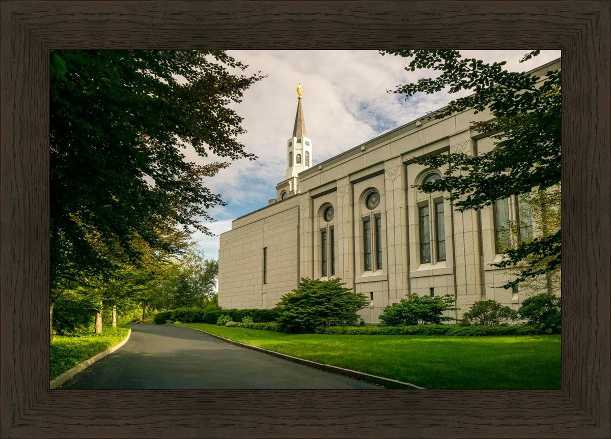 Boston Temple Trees Of Life Panoramic