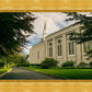Boston Temple Trees Of Life Panoramic