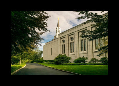 Boston Temple Trees Of Life Panoramic
