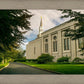 Boston Temple Trees Of Life Panoramic