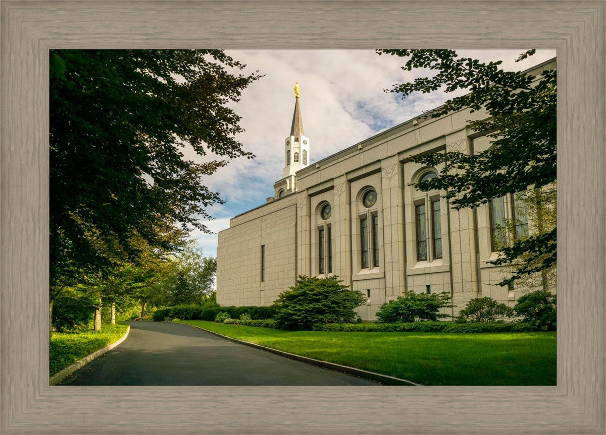 Boston Temple Trees Of Life Panoramic