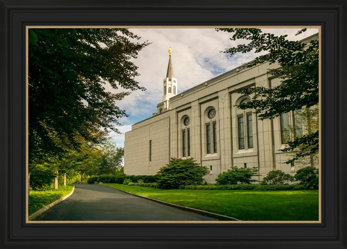 Boston Temple Trees Of Life Panoramic