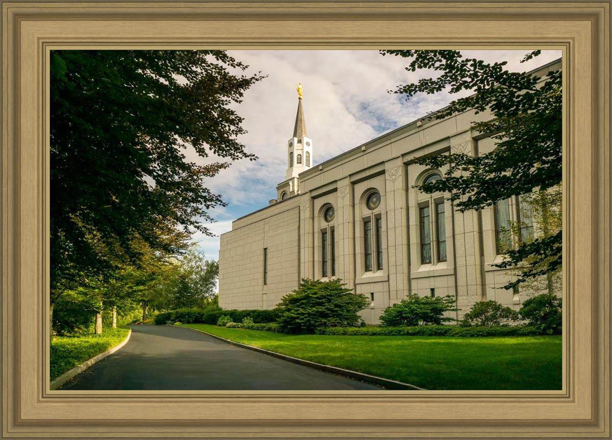 Boston Temple Trees Of Life Panoramic