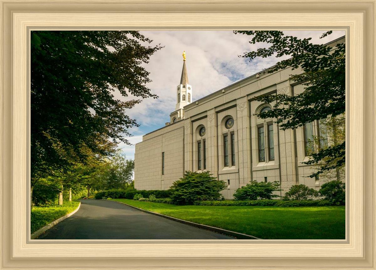 Boston Temple Trees Of Life Panoramic