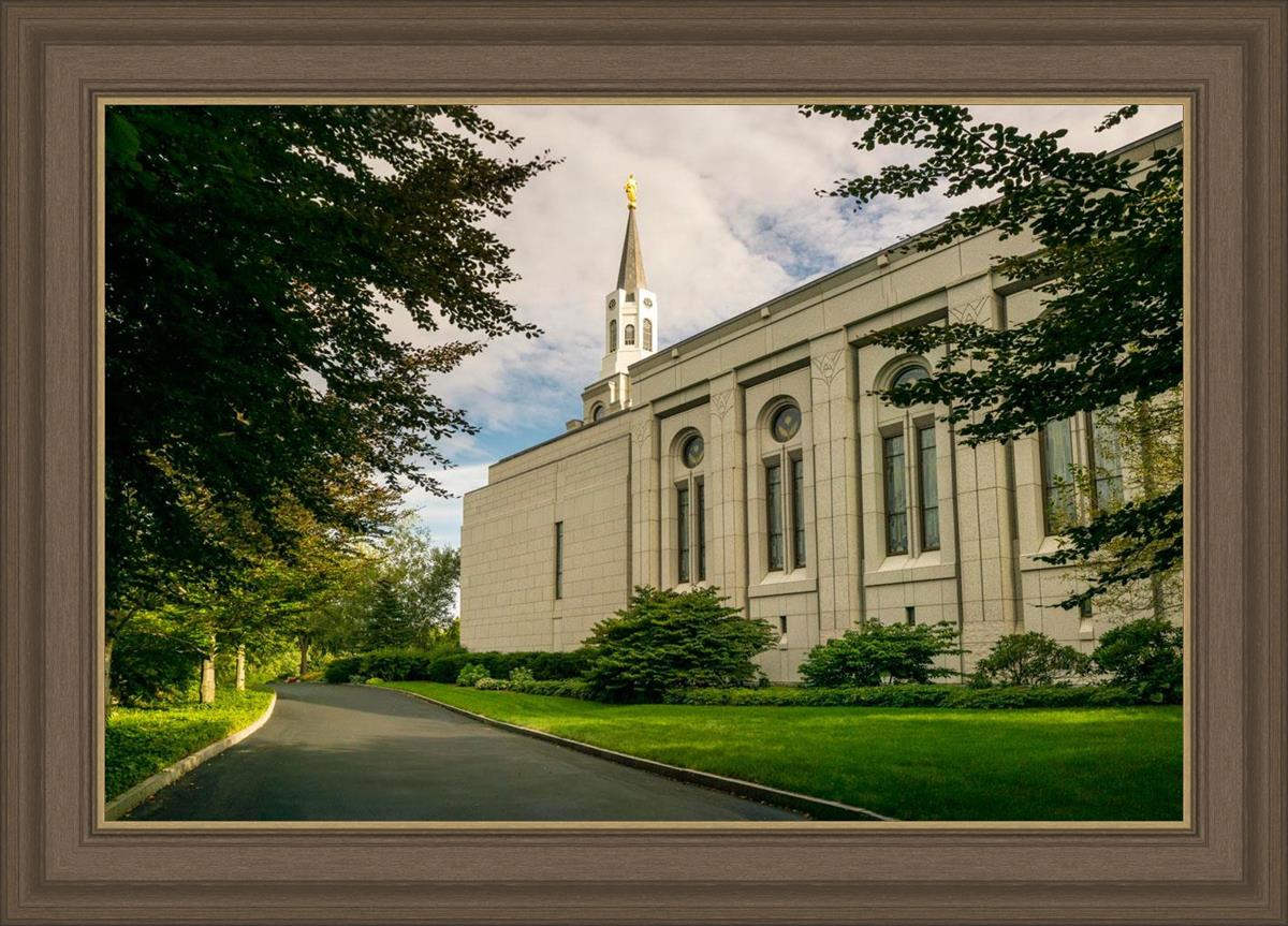 Boston Temple Trees Of Life Panoramic
