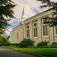 Boston Temple Trees Of Life Panoramic