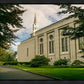 Boston Temple Trees Of Life Panoramic