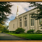Boston Temple Trees Of Life Panoramic