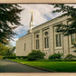 Boston Temple Trees Of Life Panoramic