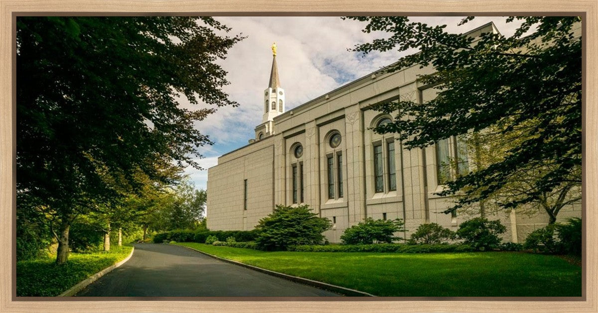 Boston Temple Trees Of Life Panoramic
