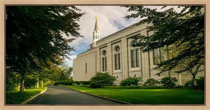 Boston Temple Trees Of Life Panoramic
